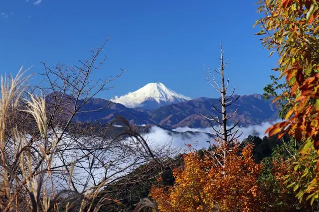 紅葉開始轉紅時從觀景臺眺望富士山