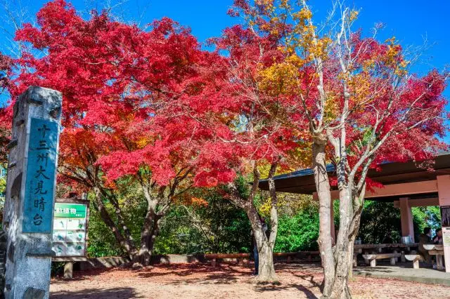 有屋頂的休息區附近的紅葉