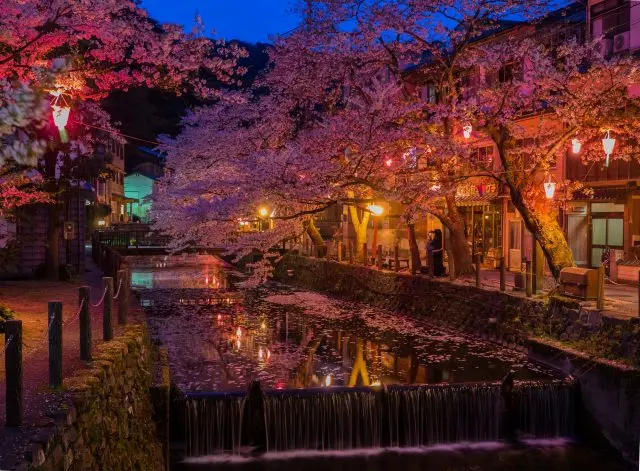 樱花季节能欣赏到绝美樱花景色的城崎温泉
