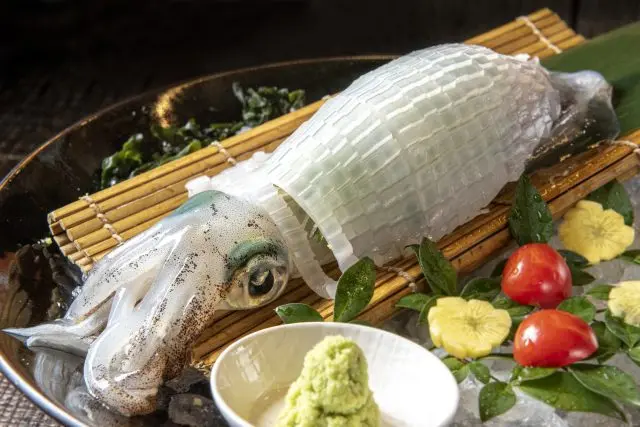 品尝有鱿鱼之王称号的「呼子鱿鱼」的生鱼片