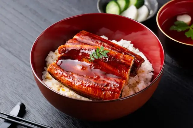 Unadon, born in Nihonbashi during the Edo period