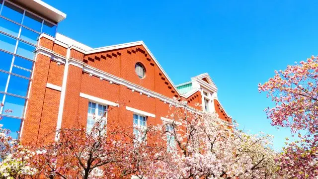 可以了解日本貨幣的歷史博物館。也以春季的「櫻花大道」而聞名