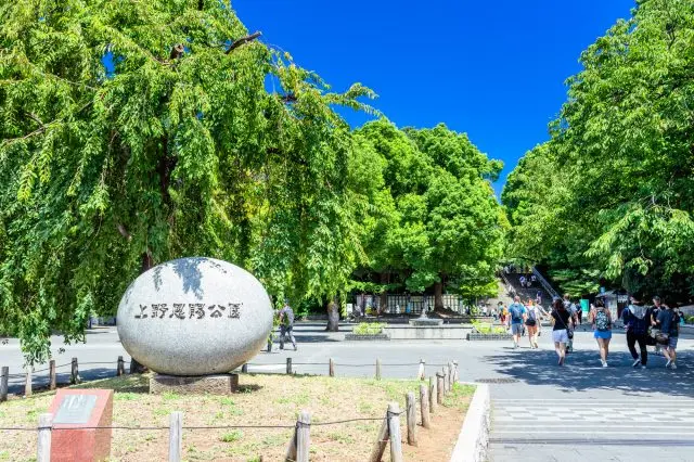 東京都內最大規模的賞櫻名所