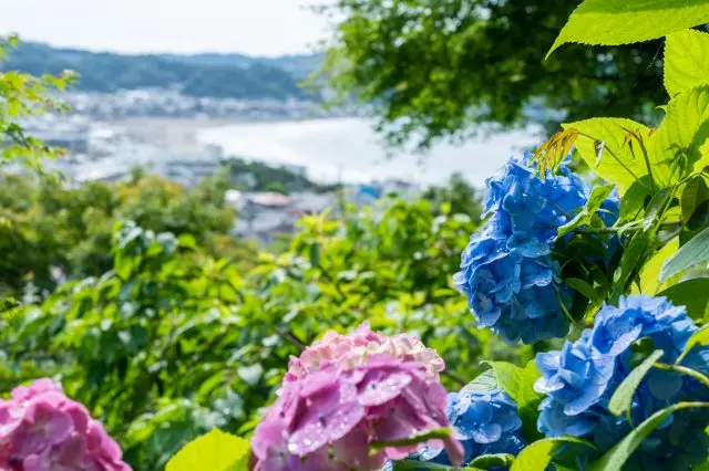 【镰仓推荐景点总整理】造访镰仓就是要感受日本古都独有的街市景观与历史气息！
