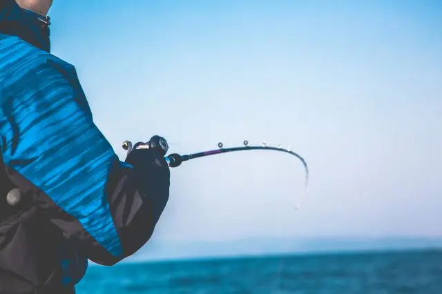 在東京體驗釣魚樂