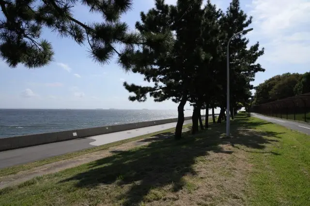 即使空手前往也能享受海釣的「若洲海濱公園」