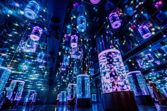 A state-of-the-art aquarium with sound, light, and video effects