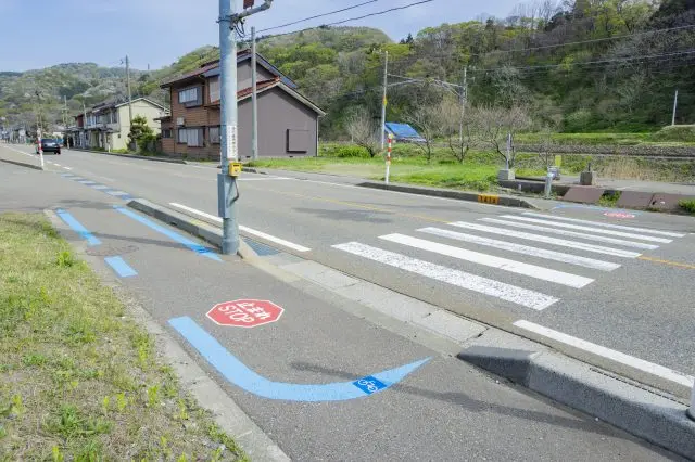 There are several points on the course that will bring you to road crossings, but the blue lines ensure that you can proceed with confidence and without getting lost.