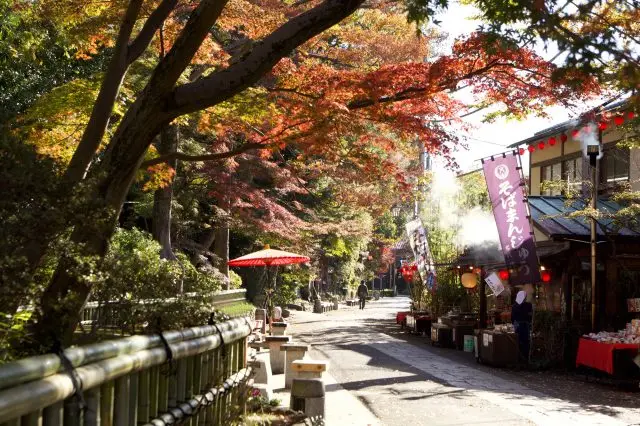 Discover the Latest and Greatest from Tokyo! Tama Area 1-Day Trip