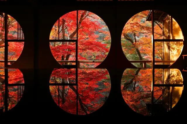 Japan Autumn Leaves Guide: Read up this Rundown of Japan’s Best Foliage! 