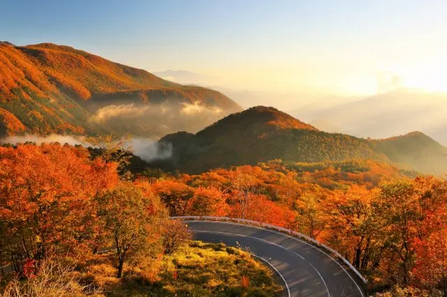 Gaze out over autumn leaves even while driving on the "Irohazaka" slope.