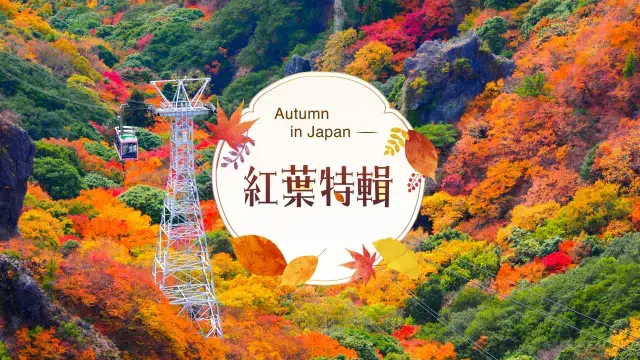 日本秋季特輯