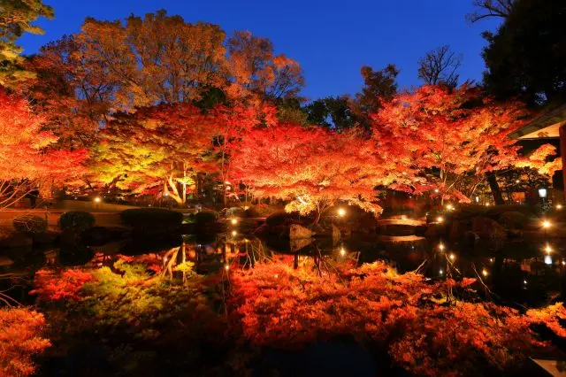 The coveted, enchanting view of autumn leaves as they reflect on the popular pond's surface.