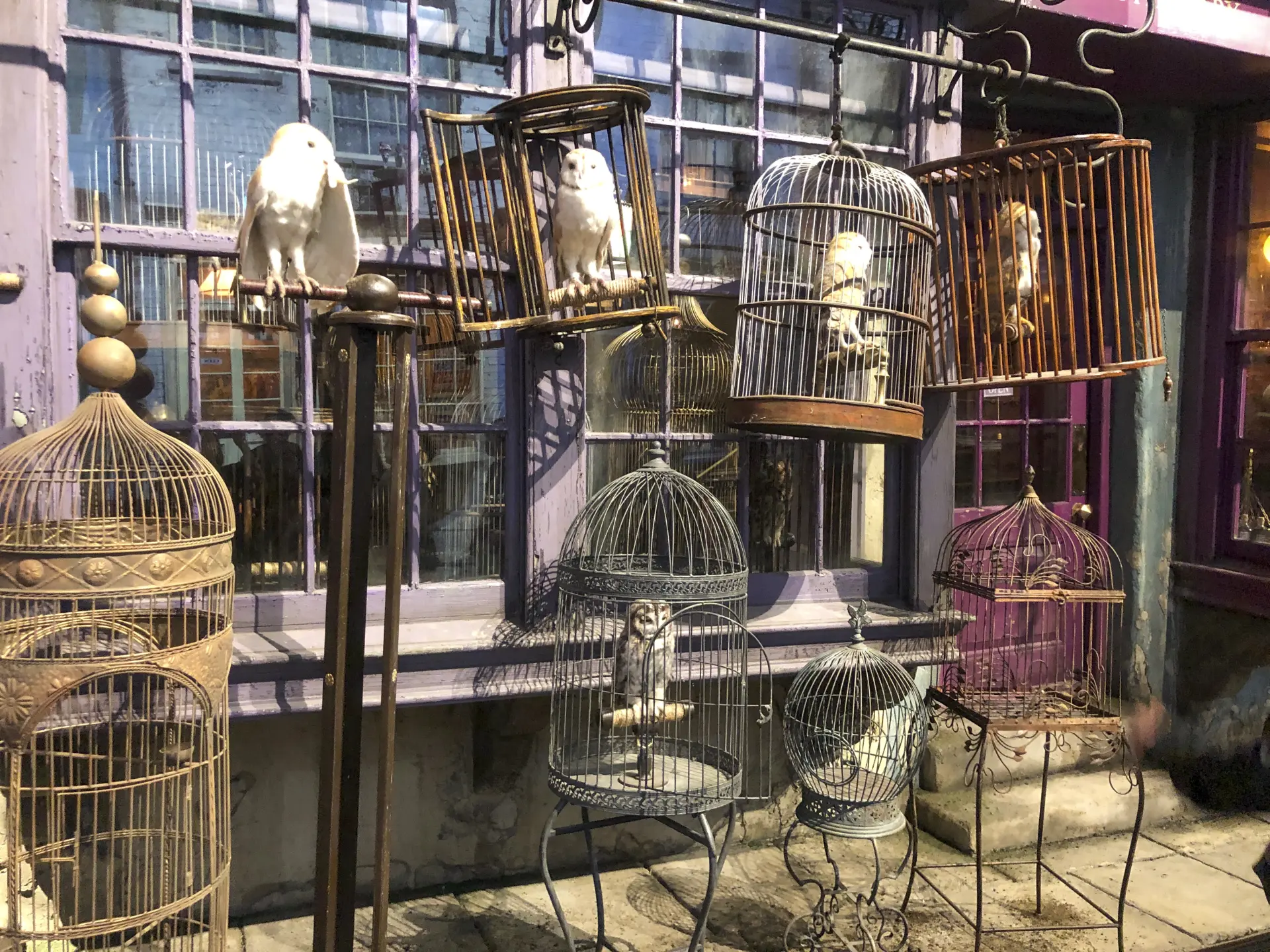 Eeylops Owl Emporium along In Diagon Alley
