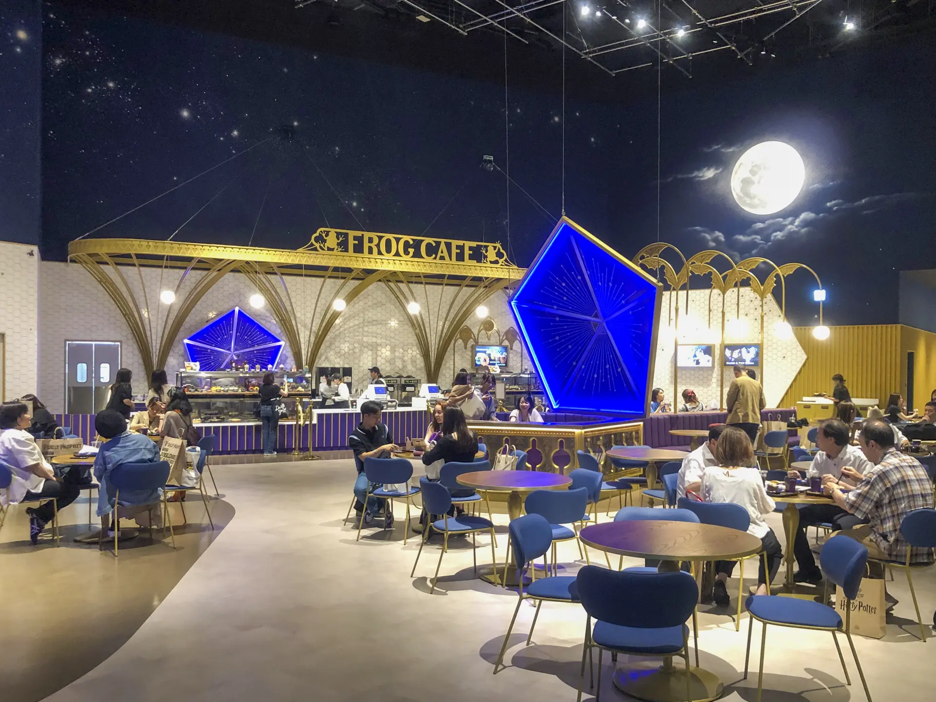 Frog Café open to you before and after your tour