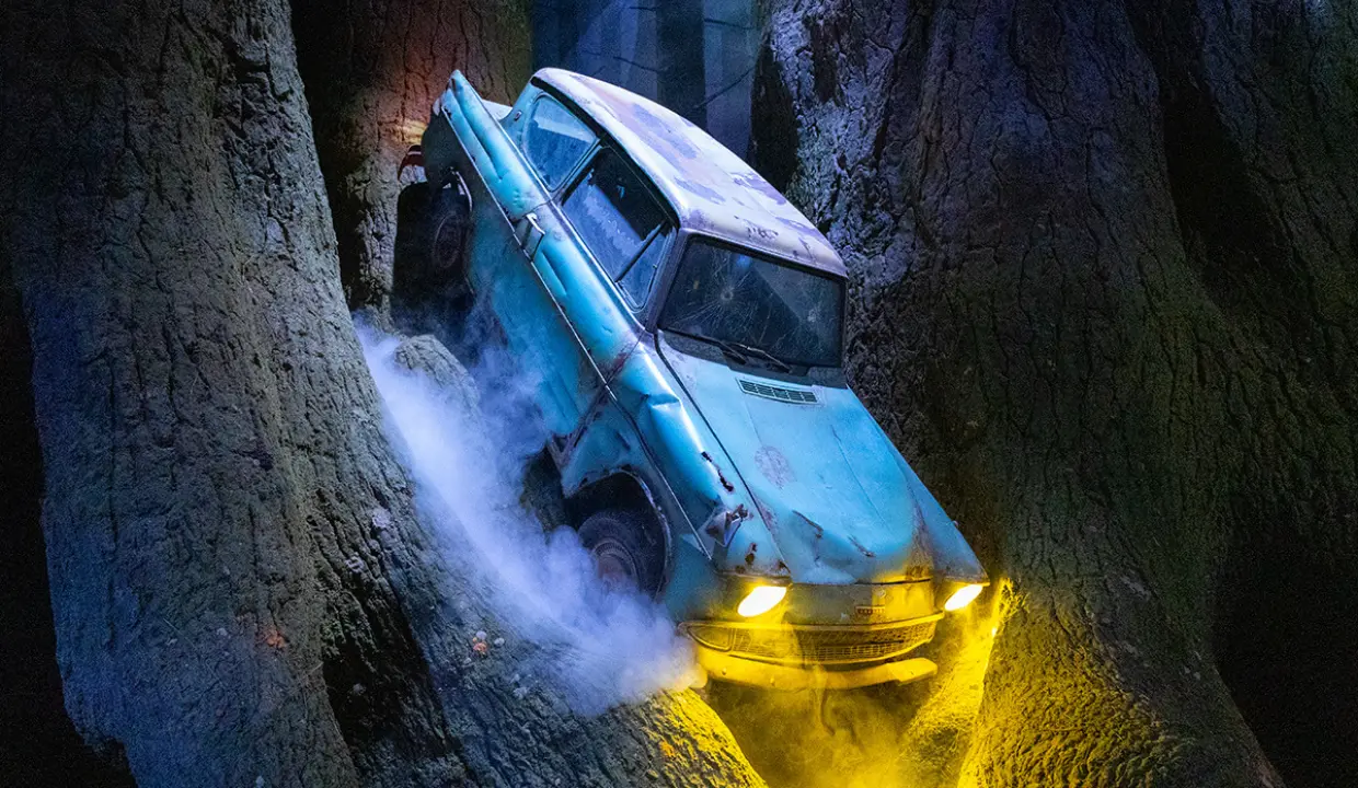 The Forbidden Forest, where Hogwarts students were forbidden to go  ‘Wizarding World’ and all related names, characters a