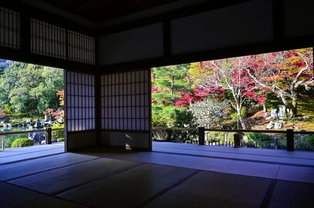 紅葉が彩る秋の「曹源池庭園」