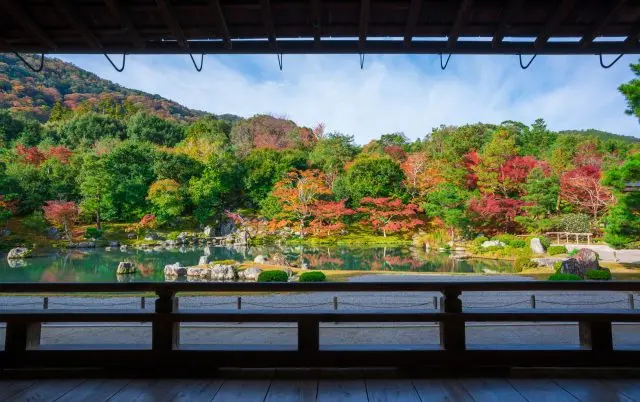 堂内から眺める景色も美しい