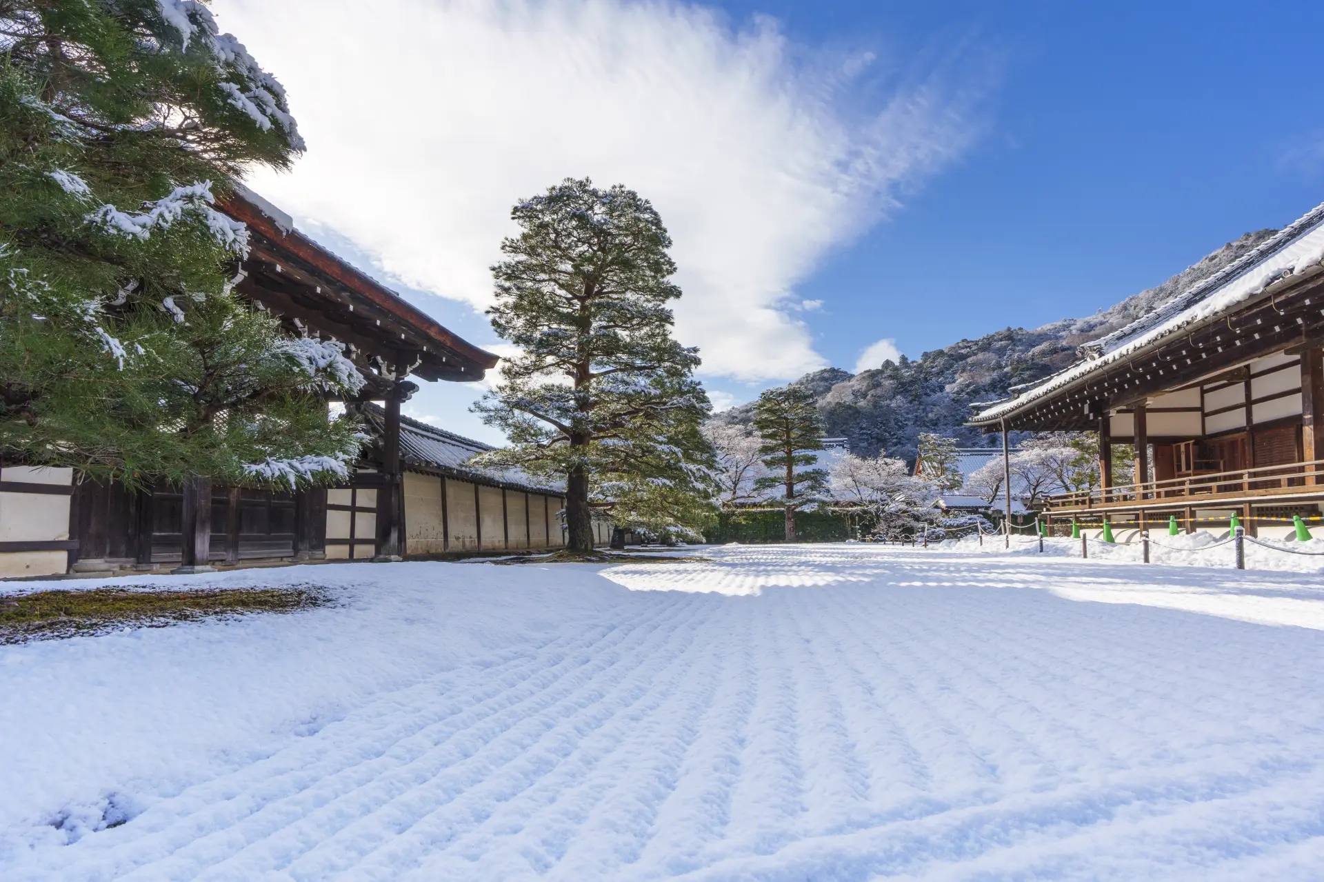 天龍寺 枯山水(冬天的清晨)