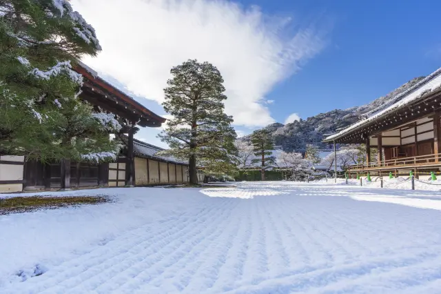 天龍寺 枯山水（冬の朝）