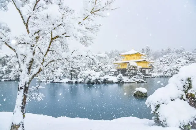 白雪皑皑的金阁寺之美令人屏息