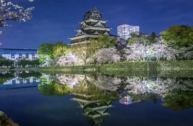 春天來廣島的話，請務必來欣賞夜櫻與廣島城共演的絕美景致吧～