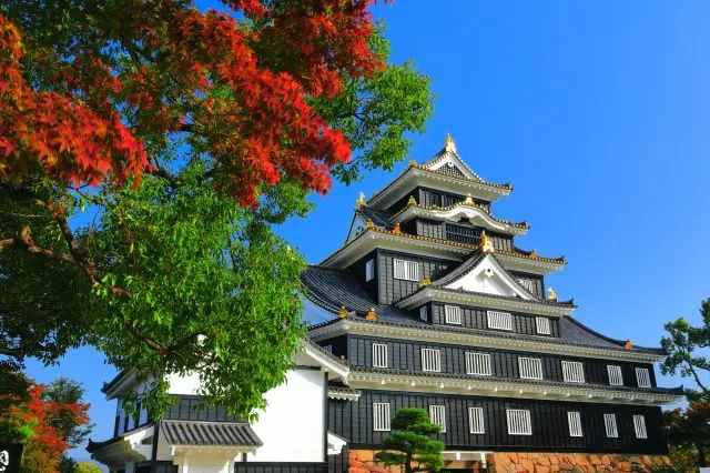 彰显大名威严的天守。漆黑的色调与金色的装饰和谐相融