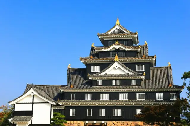 看点满满的天守