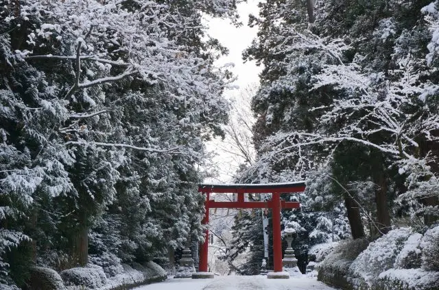雪が降り積もる境内はなんとも幻想的