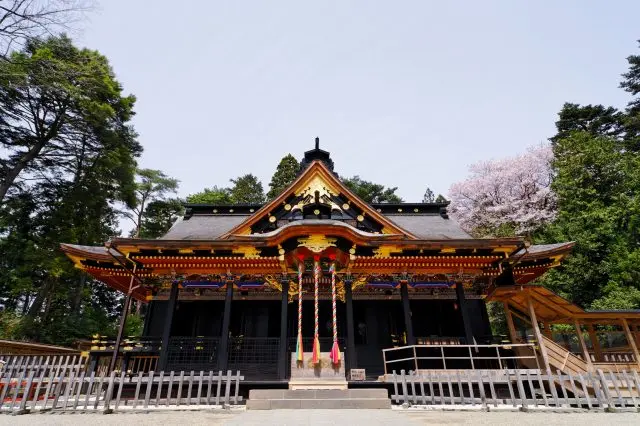 寒さが苦手な方には綺麗な桜が見られる春がお勧め