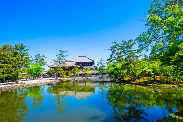 【東大寺完整指南】必看重點&周邊景點一篇掌握！