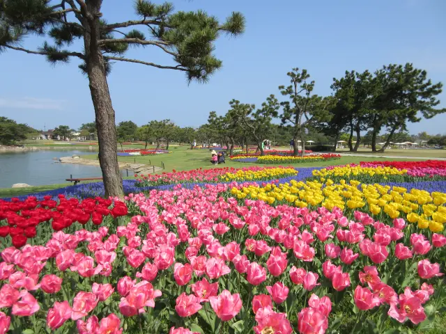 親子で遊ぶ・食べる・泊まれる！海の中道海浜公園の観光ガイド