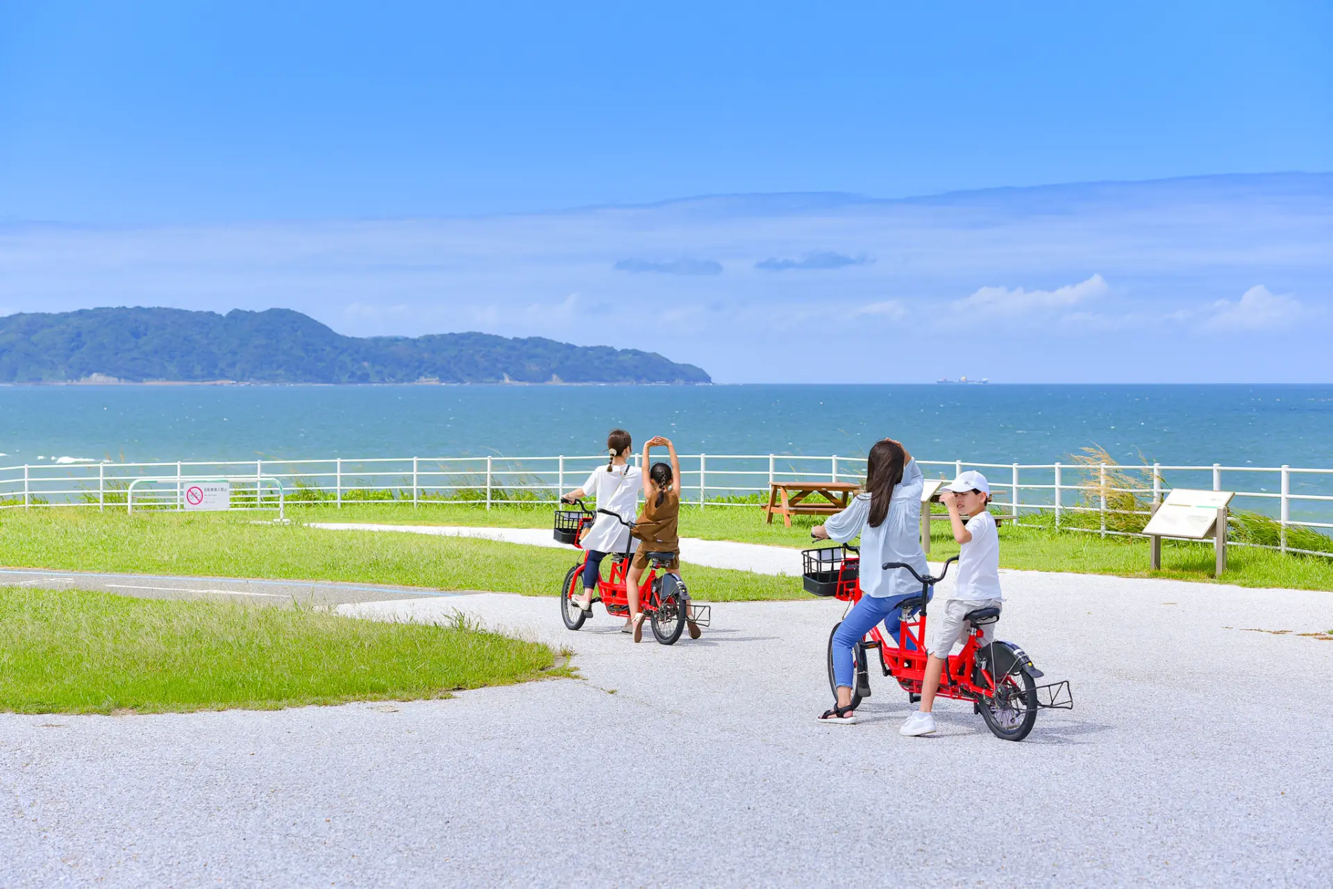 在遼闊的園區內騎單車兜風,享受悠閒的海濱之旅吧