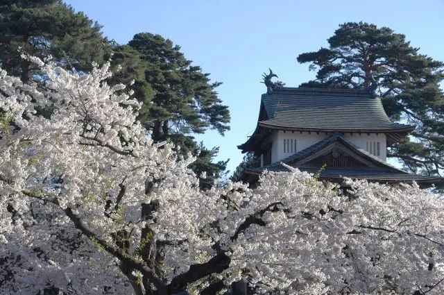 可以在櫻花季節看到絕佳美景的「辰巳櫓」