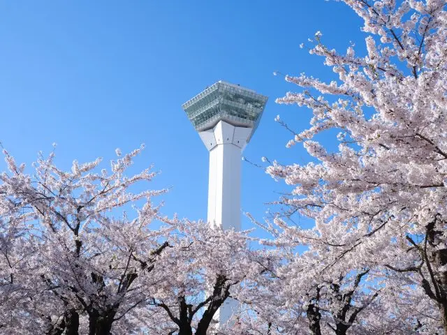 函館の絶景と歴史を楽しもう！五稜郭タワー観光ガイド
