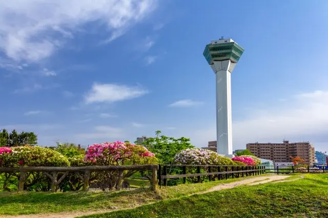 四季折々の景色を楽しめる「五稜郭公園」と隣接する「五稜郭タワー」