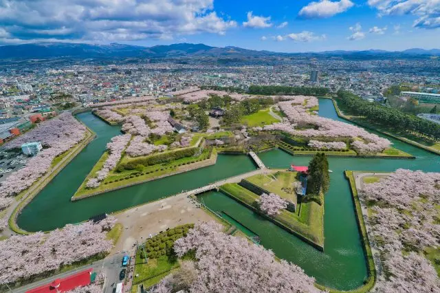 「五稜郭タワー」から見える、桜に覆い尽くされた「五稜郭公園」は絶景