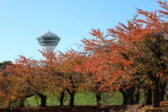 函館の絶景と歴史を楽しもう！五稜郭タワー観光ガイド