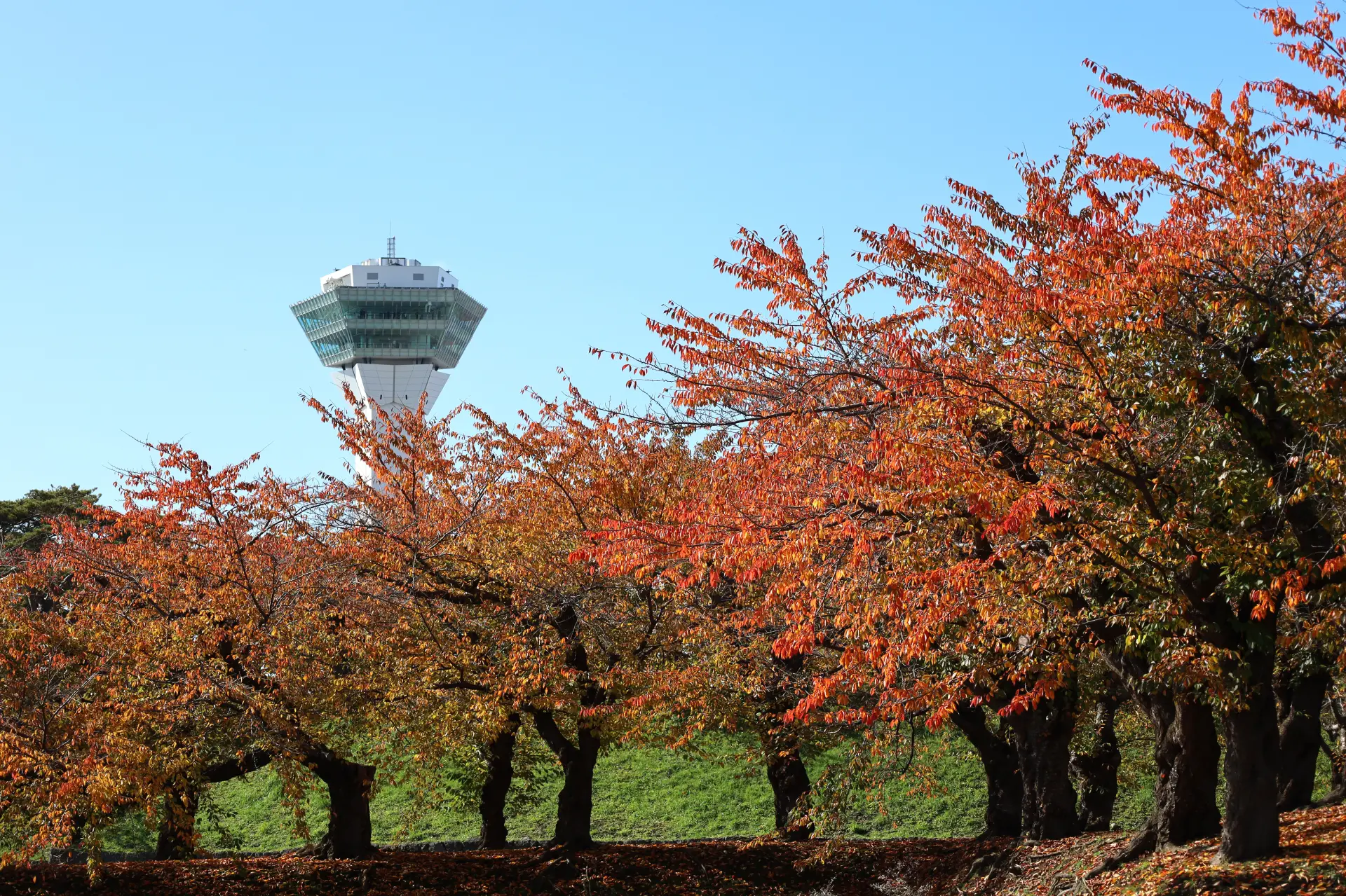 【五稜郭塔完整指南】必看重點、週邊美食&景點一篇搞定！