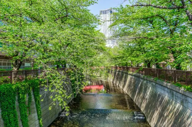 目黒川をベースにおしゃれなスポットを探しに散歩してみよう