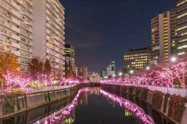 「目黒川」の冬の風物詩となっているイルミネーション