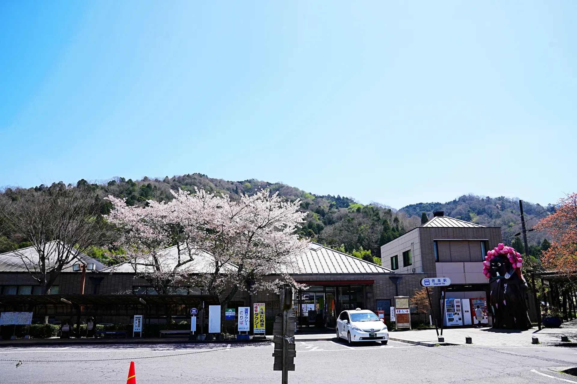 櫻花點綴「信樂」站站體的景色