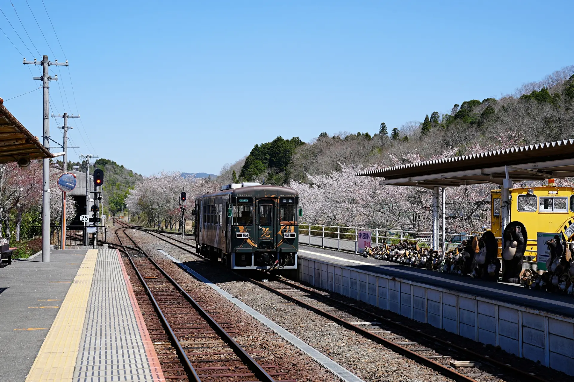 信樂燒狸貓在「信樂」站月台迎接列車進站
