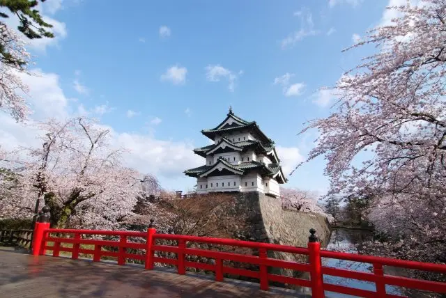 歴史的建造物と桜織りなす絶景