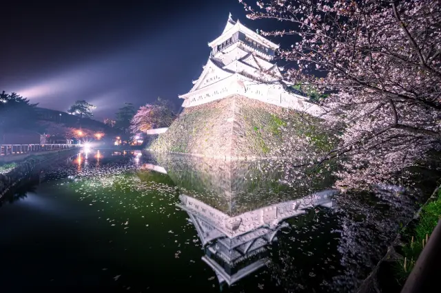 小仓城樱花祭，夜间点灯后的美景