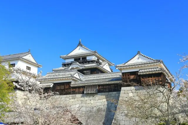 江戸時代から現存する天守