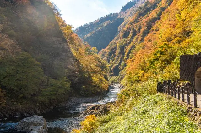 ダイナミックな紅葉が見られる秋の「清津峡」