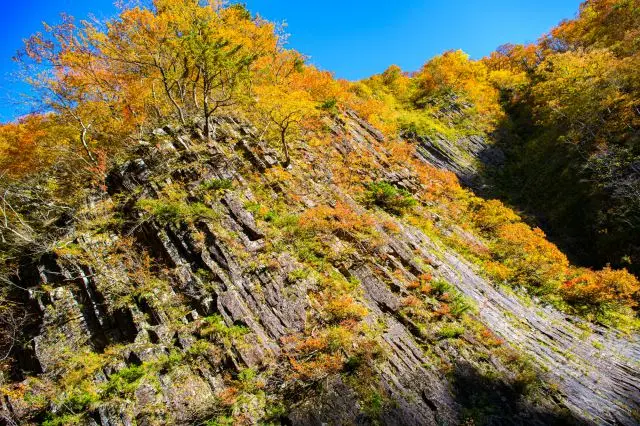 柱状節理と紅葉の見事なコラボレーション
