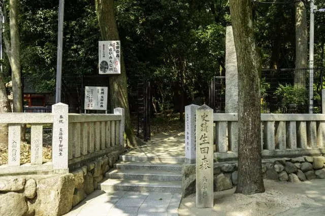歴史を肌で感じられる「生田の森」