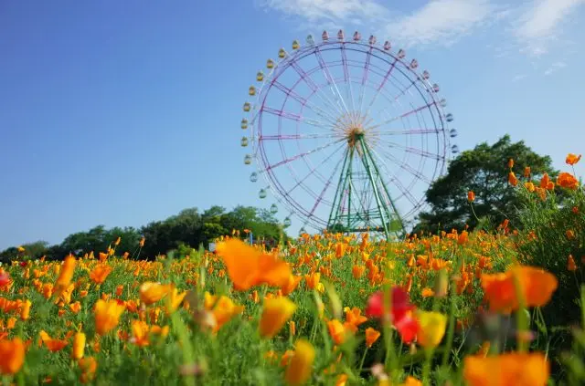 四季皆有美丽花草可看，还备有各种游乐设施的大型公园，玩法丰富多样